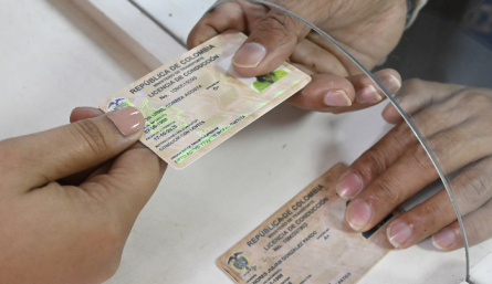 Licencias de conducción