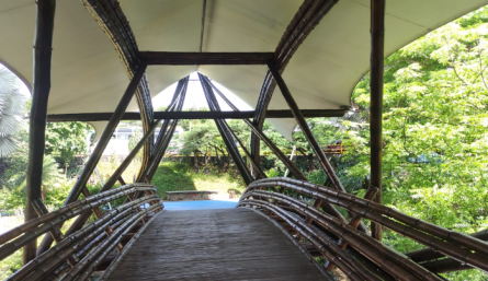 Puente de guadua