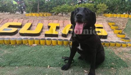 Retiro canino de la Policía 