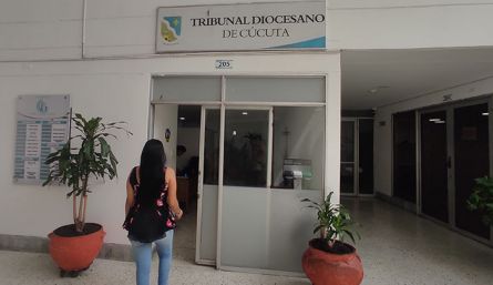 En 2023, en el Tribunal Diocesano de Cúcuta van cerca de 40  procesos iniciados. / Foto: Leonardo Favio Oliveros