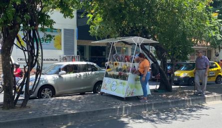 Son alrededor de 18 floristerías que hacen parte de Asoflocuc.