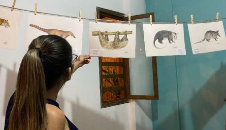 Las pinturas son realizadas por un biólogo amante de la riqueza natural del departamento.