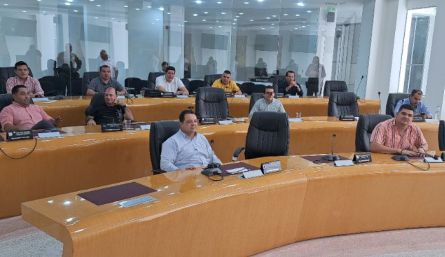 Concejales protestan por aplazamientos de controles políticos