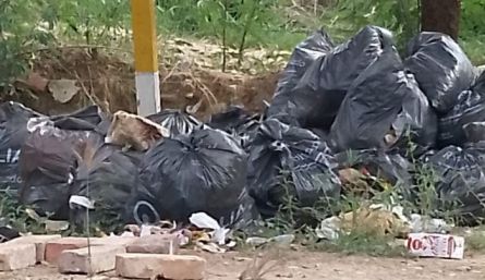 Los vecinos dicen que la empresa no lo va a recoger, en cambio, Veolia afirma que sí