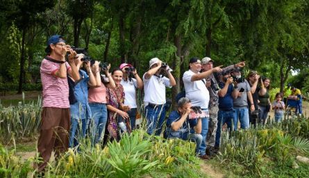 Más de 50 personas participarone en la primera ruta de avistamiento de aves en la ciudad.