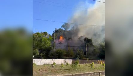 Incendio