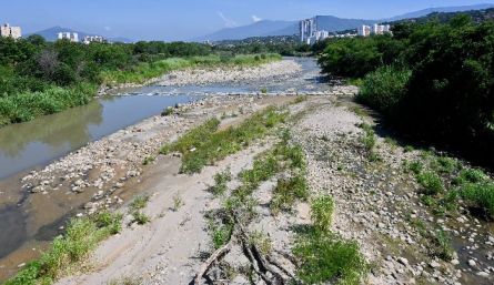 Con muy poca agua y bastante maleza, se ve al río Pamplonita. /Foto: Jorge Gutiérrez/La Opinión