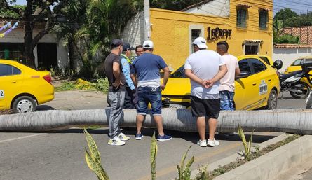 taxista