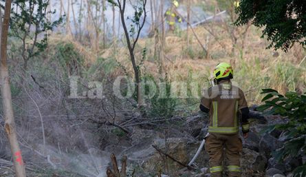 Incendio forestal