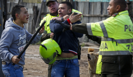 Las peleas entre vecinos son más frecuentes en los estratos más vulnerables. 