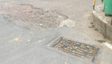 Los malos olores emanan de los alcantarillados de aguas lluvia.