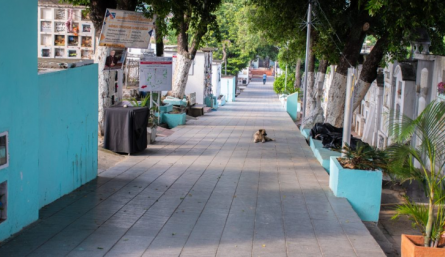 Abren cementerio de Cúcuta