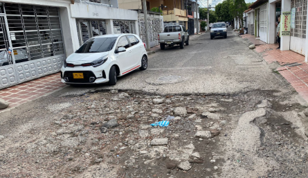 Grandes baches se apoderarón de las vías de los Acacios.
