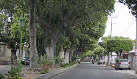 Piden rescate de la Avenida de Los Faroles.