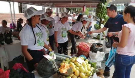El Parque Cúcuta 300 años será escenario del mercado campesino/Foto archivo
