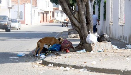 BASURAS EN CÚCUTA