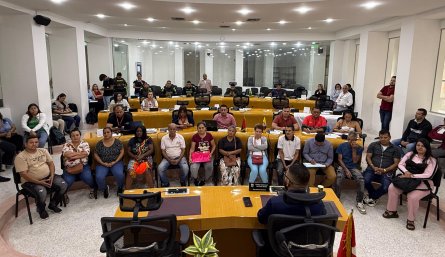 Concejo-Mesa de Trabajo
