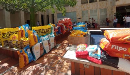 En la Alcaldía se llevo a cabo una gran donaton de alimento que beneficia a albergues, hogares de paso y fundaciones