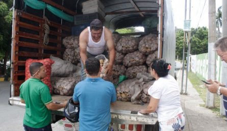 Papatón en Pinar del Río.