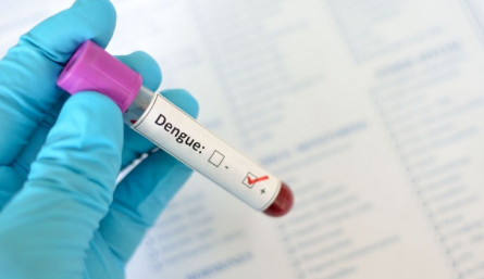 Dengue en Colombia.