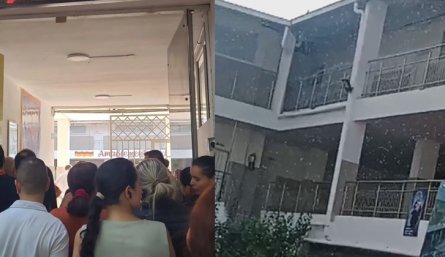 Emergencia en colegio de Cúcuta por ataque de abejas