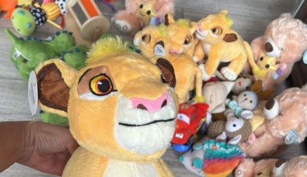 Donaciones de peluches vzla