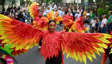 Lista la programación de las preferias y ferias de Cúcuta 2026