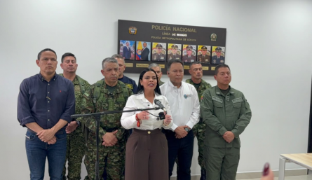 Consejo de Seguridad. Foto cortesía