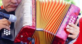 acordeon