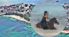 CABALLO MAR 