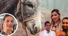Andrea Padilla pone en la mira a La casa de los famosos por posible maltrato animal