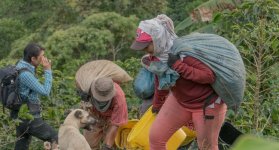 ‘Andariega’, la vida nómada de las recolectoras de café