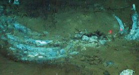 CEMENTERIO DE BALLENAS
