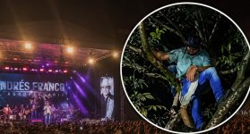 De no creer: hombre se quedó dormido en un árbol durante un concierto