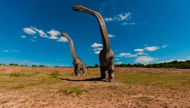 Los restos fósiles fueron encontrados en la provincia de Neuquén, ubicada en la Patagonia. /Foto: Cortesía