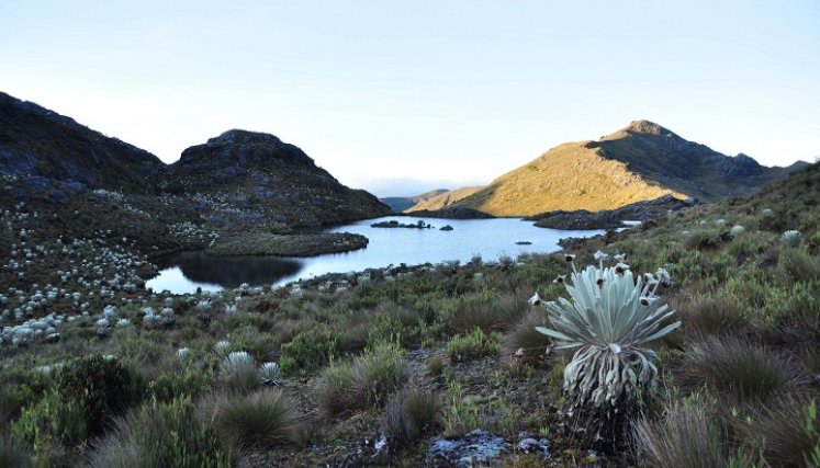 El páramo genera agua para municipios de los Santanderes. /Foto Archivo