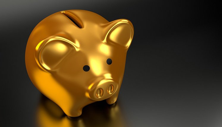 Ahorros para el año 2021.