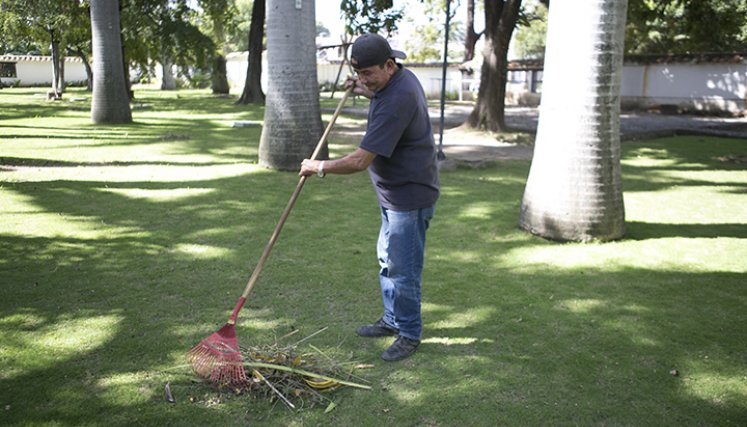 Francisco Suárez lleva más de dos décadas cuidando la zona verde de la casa natal del General Santander.
