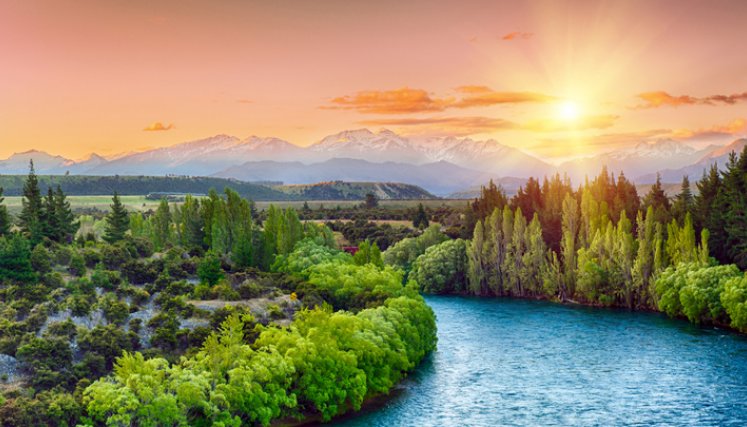 El pueblo nativo del país kiwi cuenta con un sistema educativo compuesto por tres niveles. / Foto: Cortesía