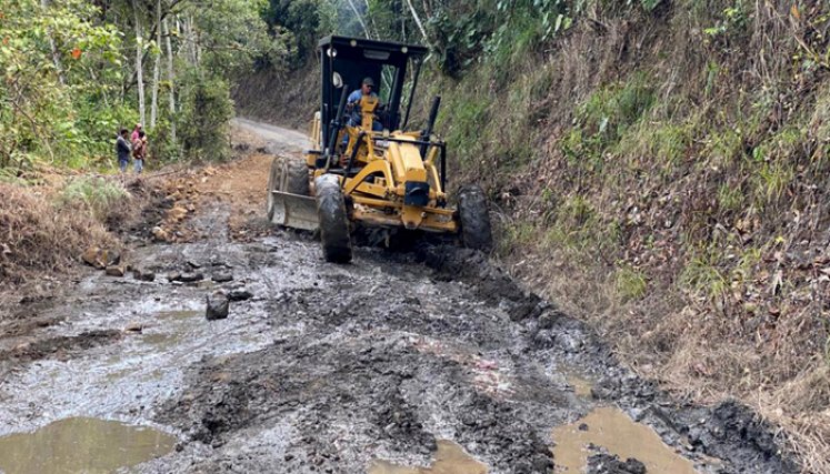 En Chucarima intervinieron 11 kilómetros de  la vía terciaria. / Foto: Cortesía.