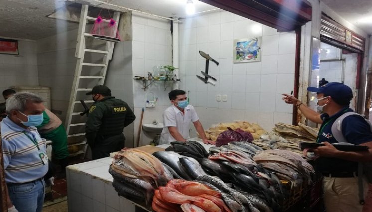 Los pescados son traídos por lo general desde el río Magdalena. / Foto: Cortesía