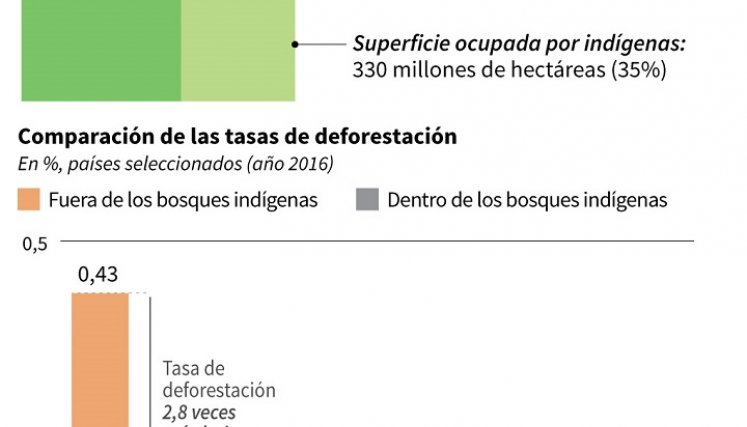 Cifras sobre cuidado del medioambiente. / Foto: AFP