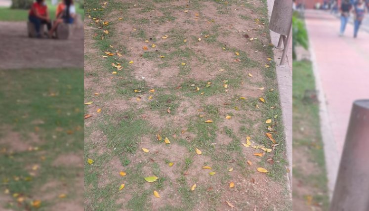Parque Colón