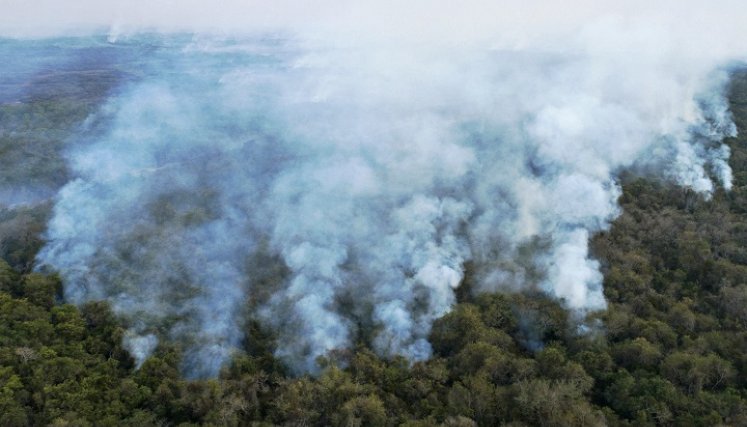La región amazónica es de las zonas más afectadas. / Foto: AFP