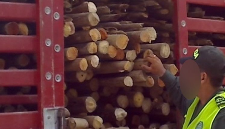 Entre la madera comercializada están el cedro, pardillo, nogal y cafetero. / Foto: Archivo-referencial