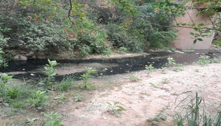 Agualinda contaminación