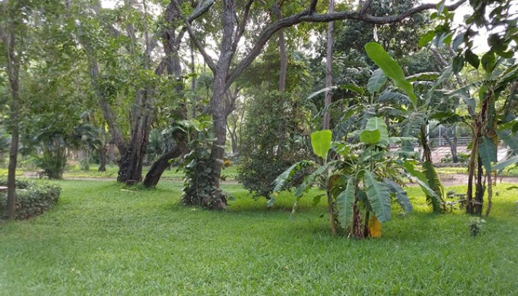 Bosque Seco Tropical