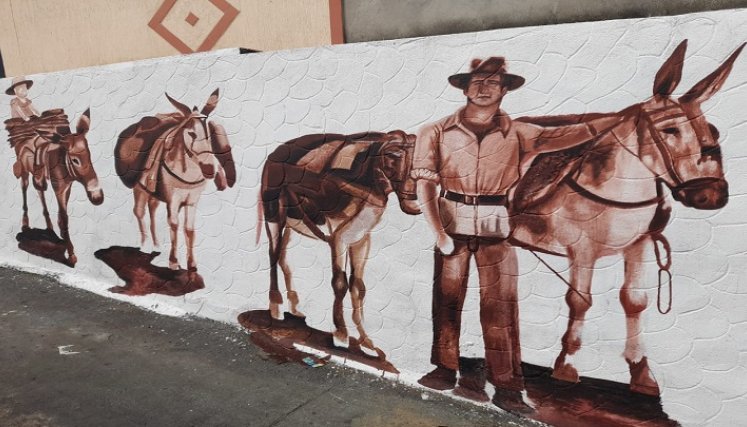 Cuentan con la asesoría del artista ocañero con experiencia en arte urbano en la ciudad de México, Alexander Motta Pallares.  /Foto: Cortesía/ La Opinión 