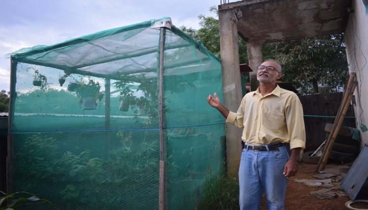 Alberto Contreras es uno de los aliados que le están apostando al cultivo de mosca soldado negro. Esta práctica se perfila como uno de los negocios más rentables del sector agropecuario. / Cortesía/ La Opinión 