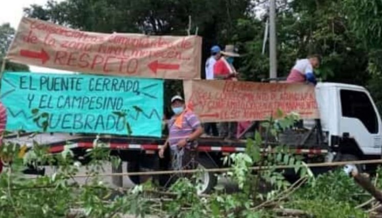 En la zona hay más de 800 agricultores y más de 1.000 hectáreas entre plátano, arroz, yuca y maíz perjudicados, al igual que la ganadería. / Foto: Cortesía